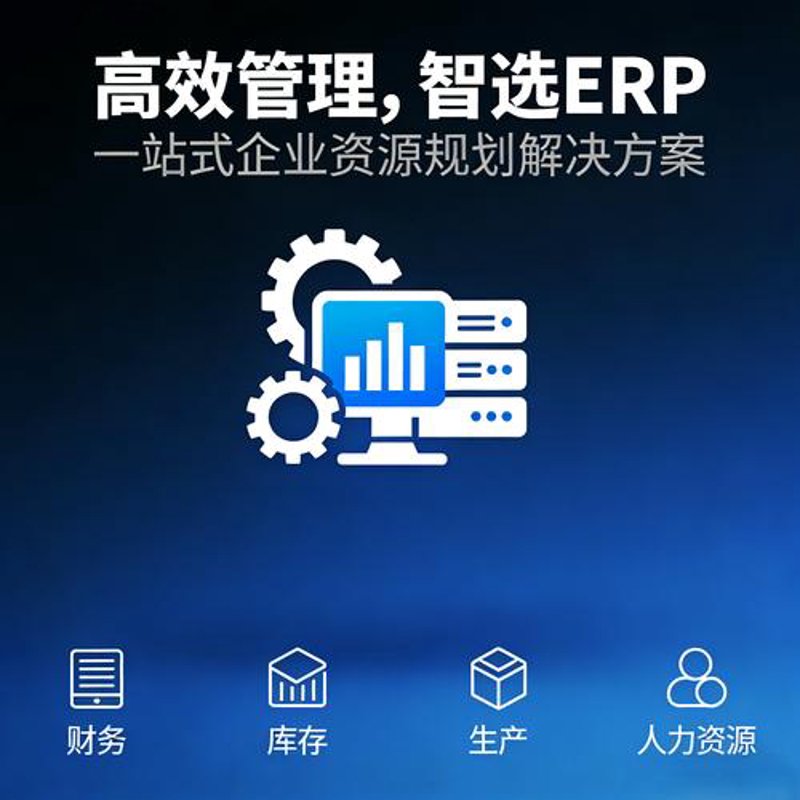 定制企业软件：引领业务高效前行